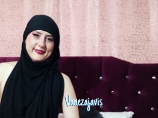 Vanezajavis