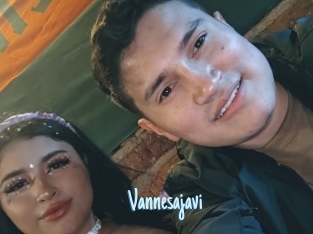 Vannesajavi