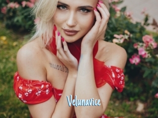 Velunavice
