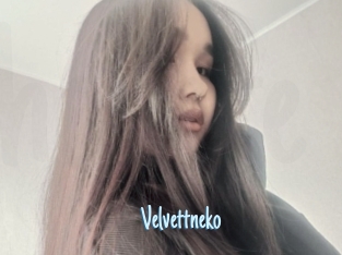 Velvettneko
