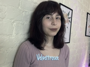 Velvettrosee