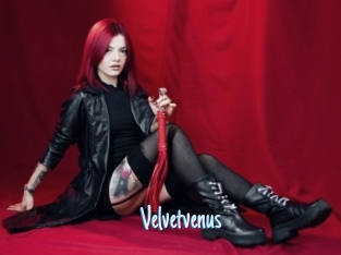 Velvetvenus