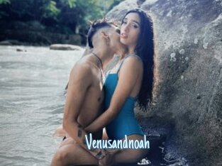 Venusandnoah