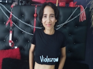 Violecrow