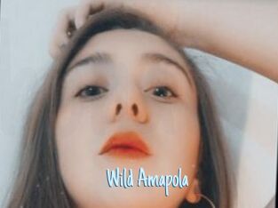 Wild_Amapola
