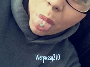 Wetpussy210