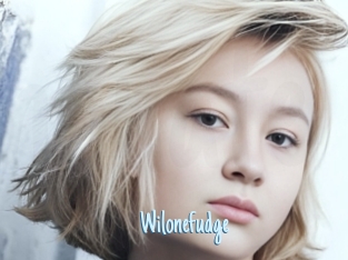 Wilonefudge