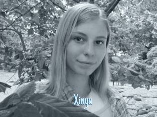 Xinyu