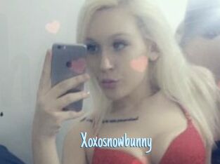 Xoxosnowbunny