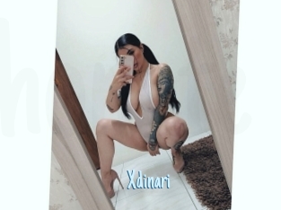 Xdinari